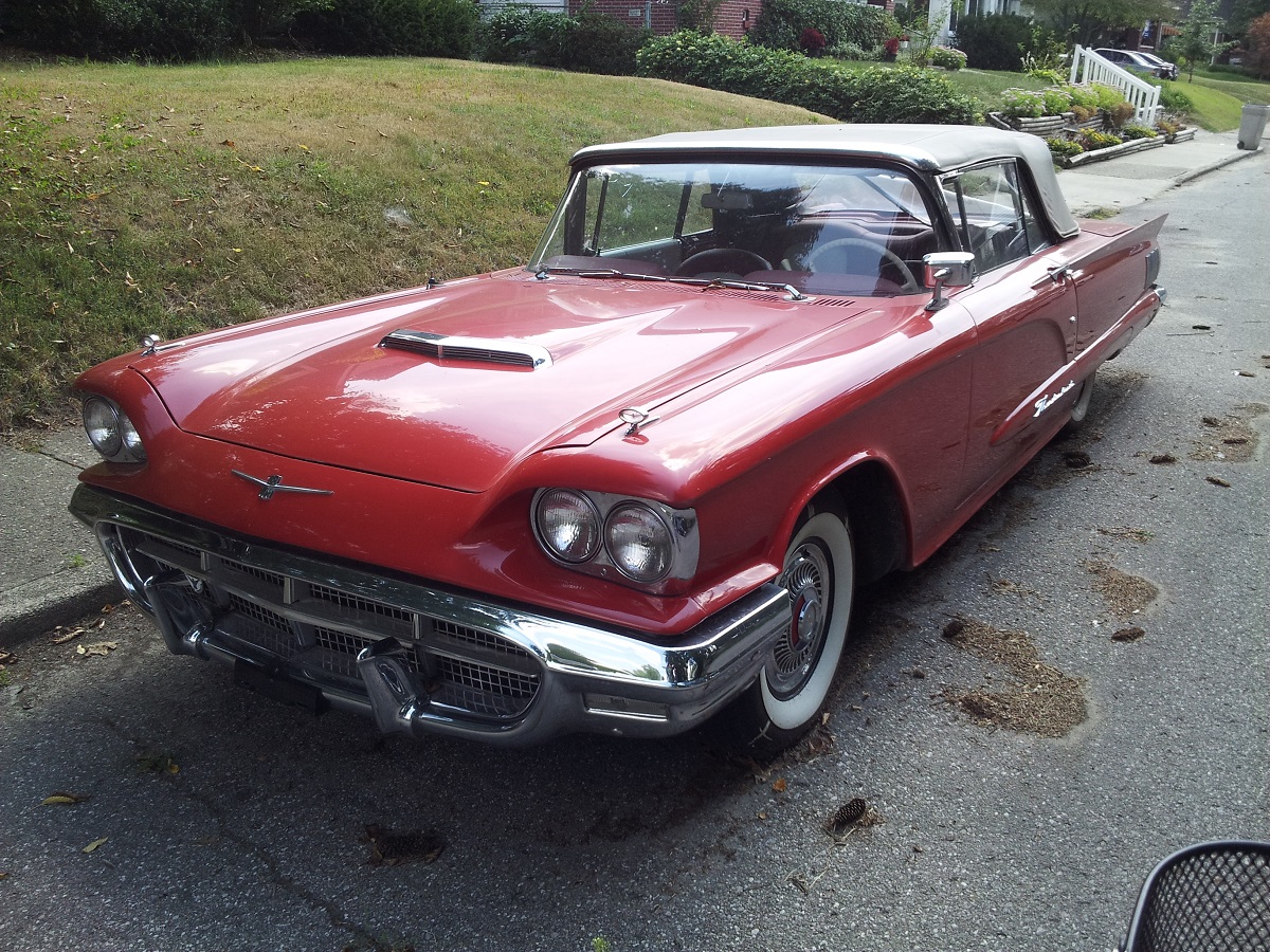 t bird 64 t bird 64