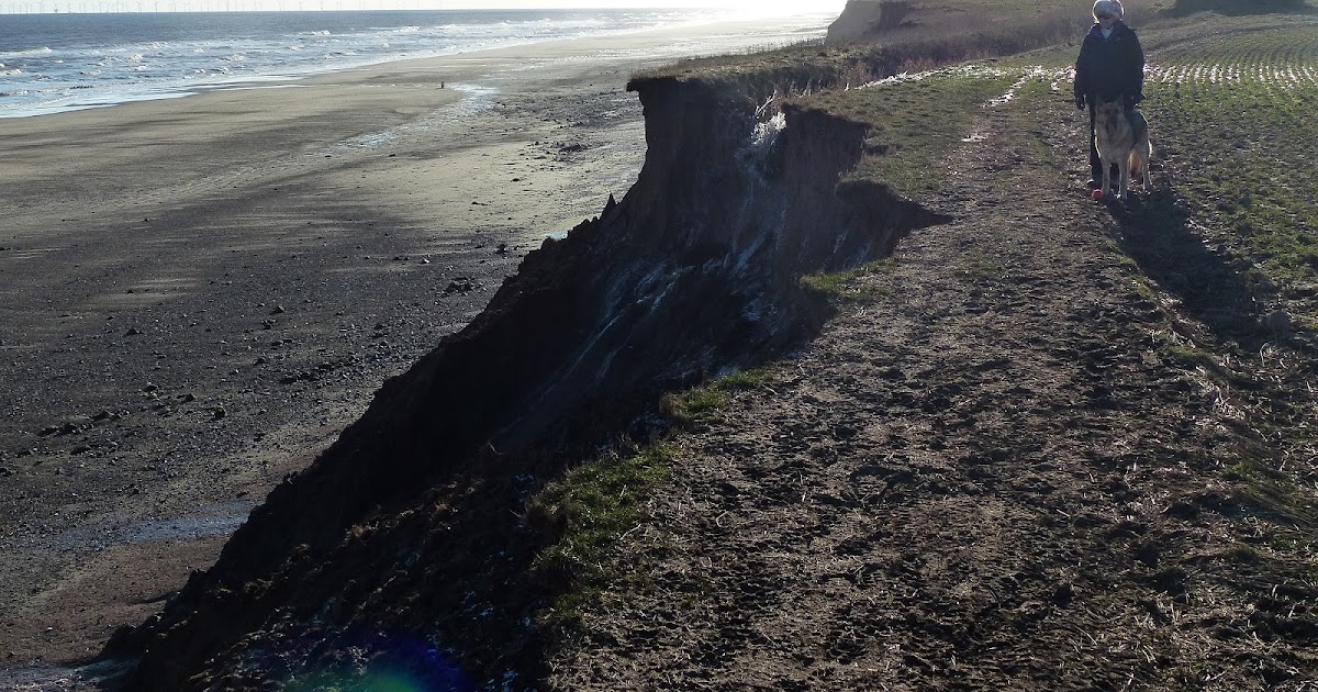 Duffbirder meets South Holderness! Cold Weather Movements