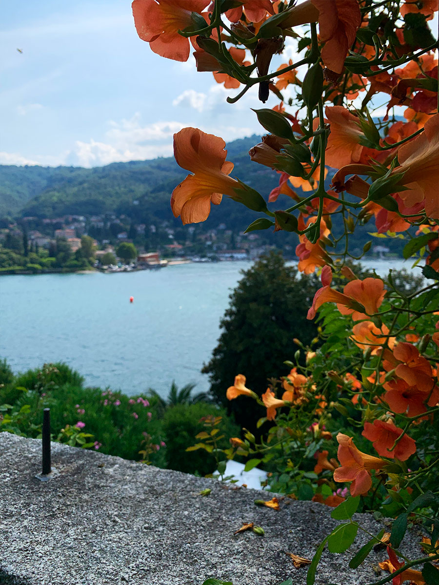 Utsikt från "Italianate garden" - en symmetrisk trädgård Utsikt från "Italianate garden" - en symmetrisk trädgård