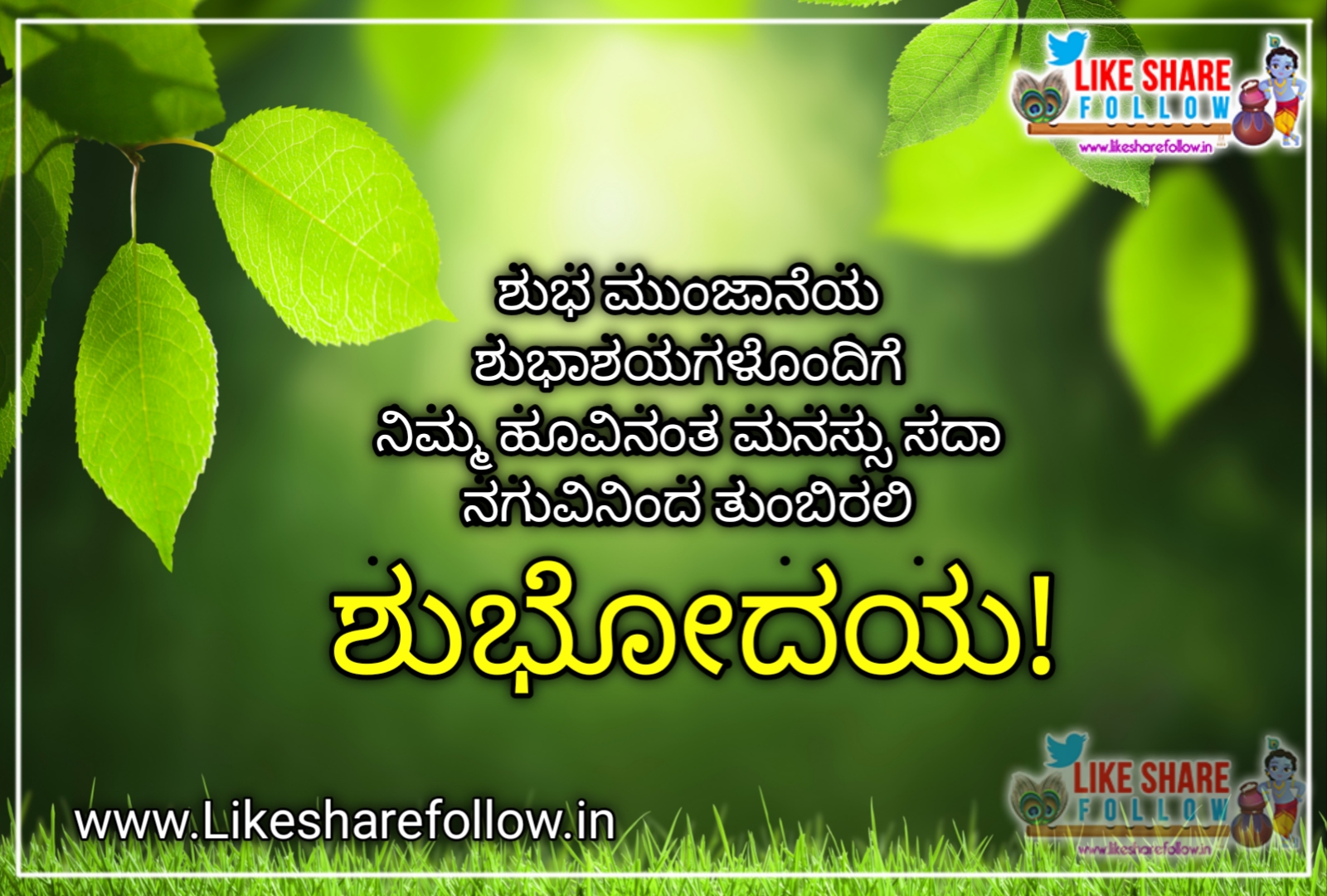 good morning in Kannada | Like Share Follow