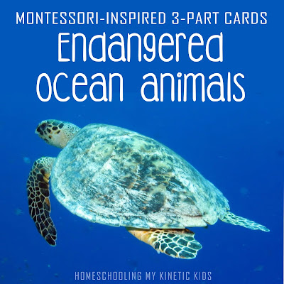 Learn about conservation as you explore and play with Safari Ltd Endangered Marine Animals toob.  Free printable matching cards for the toob.