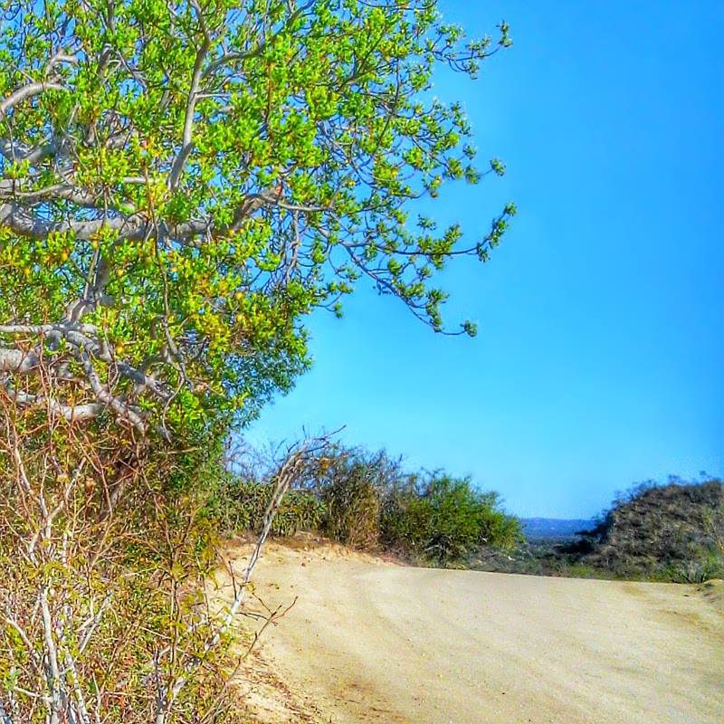 RANCHO LA FORTUNA LOS CABOS BAJA CALIFORNIA SUR