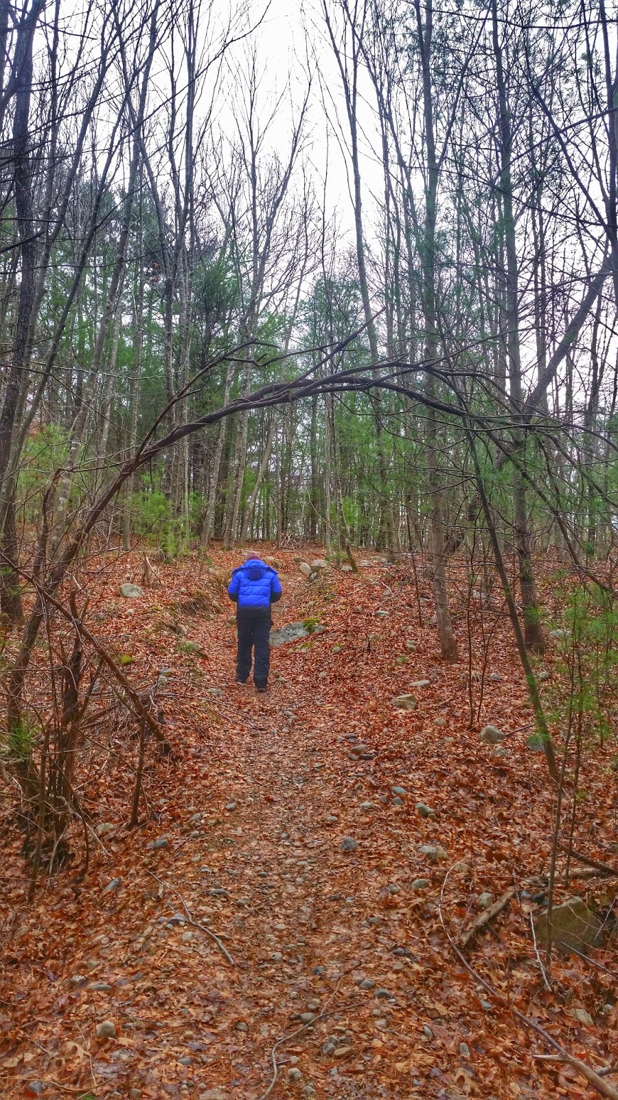 wompatuck bike trails