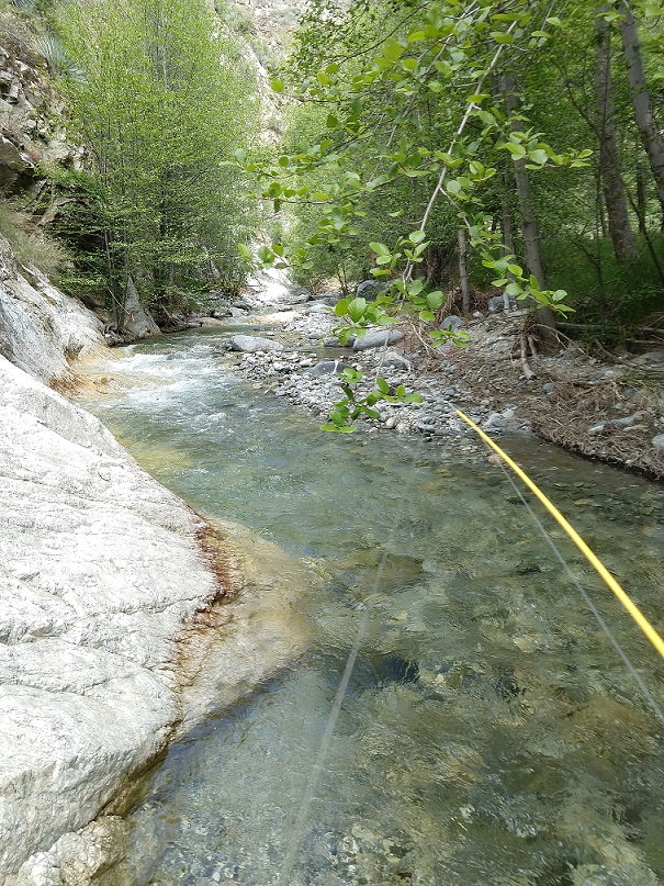 Another Los Angeles Trout Stream Hunting the River King