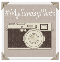 My Sunday Photo linky badge