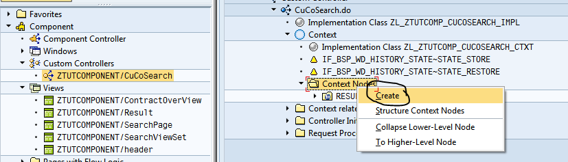 SAP CRM WEBCLIENT-2: CREATING CONTEXT NODE IN CUSTOM CONTROLLER
