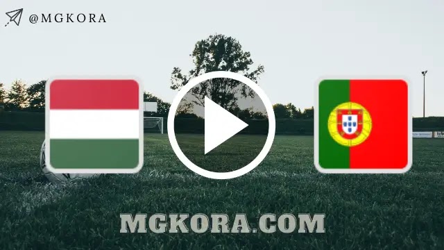 نتيجة مباراة البرتغال والمجر في اليورو
