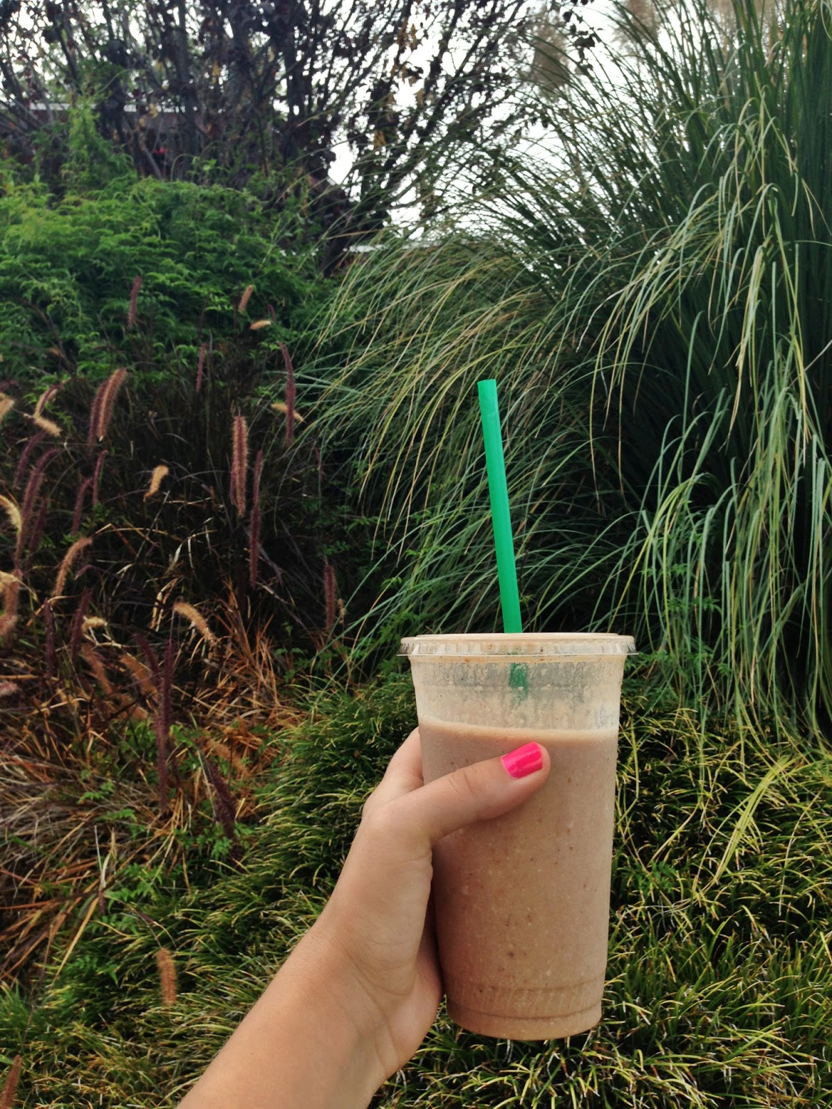 Pilgrim WHAT'S GOOD // JUICE Los Angeles, CA // West Hollywood BEVERLY