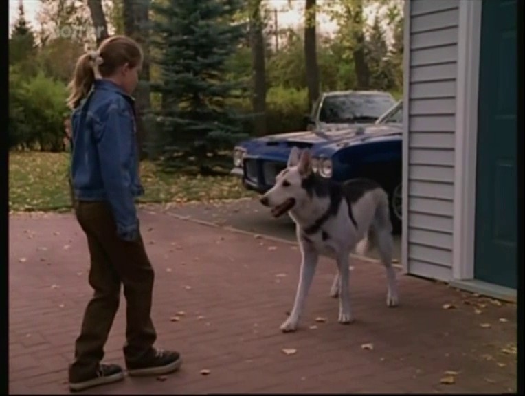 CACHORRO ATÔMICO (DUAL ÁUDIO/WEB-RIP) – 1998 Vlcsnap-2020-12-28-10h41m39s393