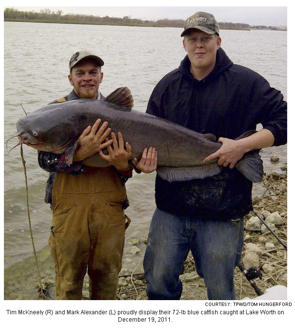 Scenic Shores Neighborhood Association Catfish Records Set in Lake