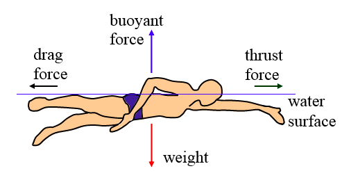 Physics behind swimming