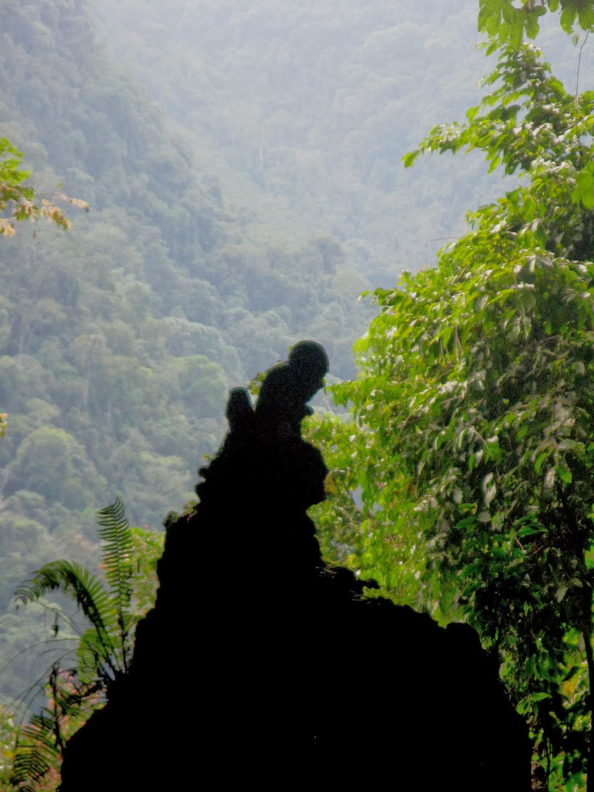 Recuerdos de mis viajes: TINGO MARIA: PUERTA DE ENTRADA A LA AMAZONIA