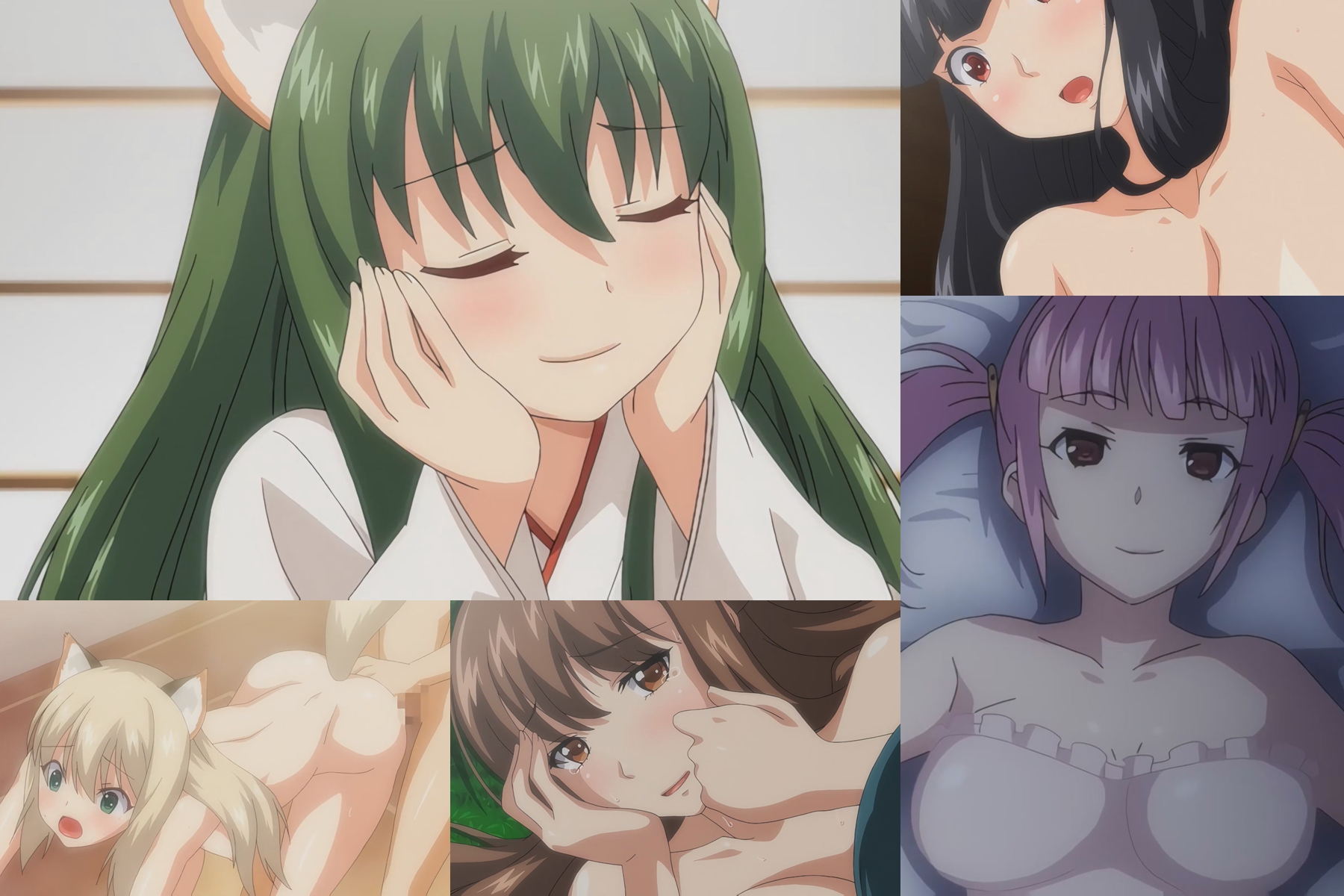 Niizuma Koyomi The Animation 60fps