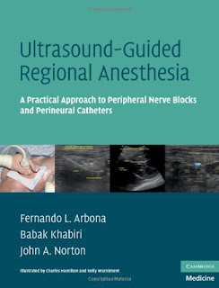 Ultrasound-Guided Regional Anesthesia: A Practical Approach to Peripheral Nerve Blocks and Perineural Catheters