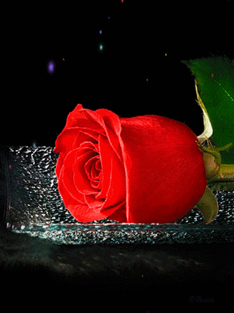 For%2BYou.gif
