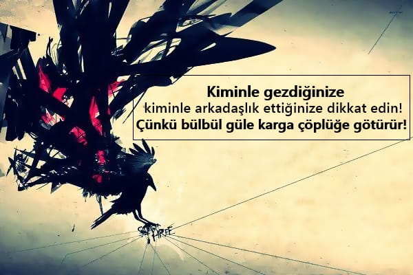 karga ile ilgili sozler ilk laf sokucu karga ile ilgili sozler ilk laf sokucu