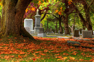 https://commons.wikimedia.org/wiki/File:Ross_Bay_Cemetery_Fall_colors_(1).jpg