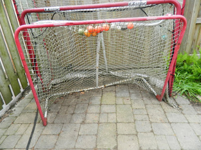 Greektown Toronto Spring Cleanup Back Garden After by Paul Jung Gardening Services--a Toronto Gardening Company Greektown Toronto Spring Cleanup Back Garden After by Paul Jung Gardening Services--a Toronto Gardening Company