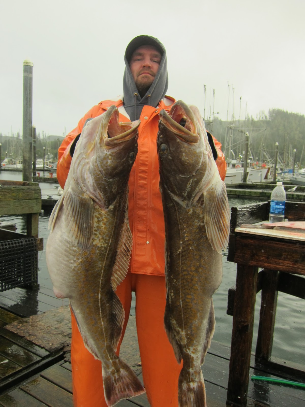 Todds Extreme Fishing neah bay lingcod and bottom fish