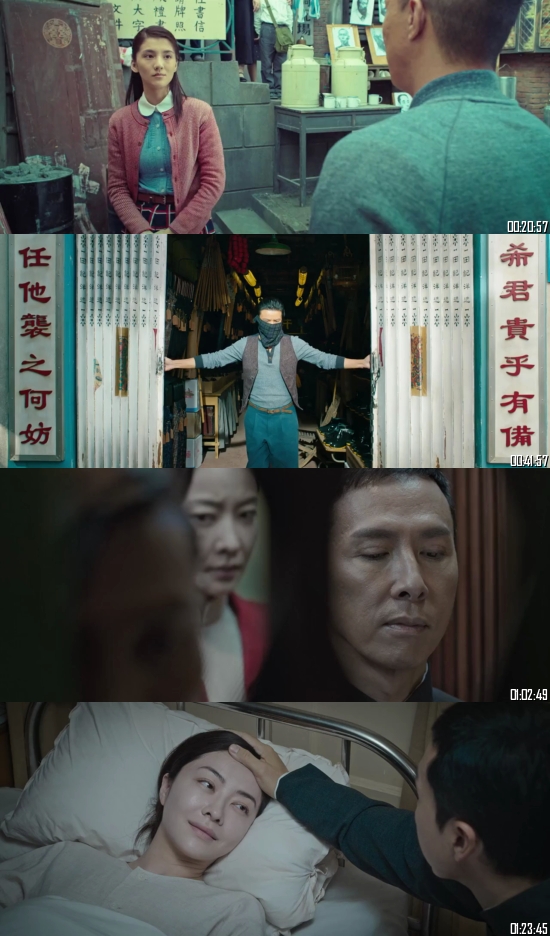 Ip Man 3 (2015) WEB-DL 720p 480p Dual Audio Hindi English Full Movie Download