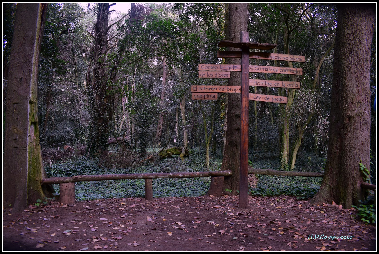 Atrapados por la Imagen Bosque encantado de la localidad de General