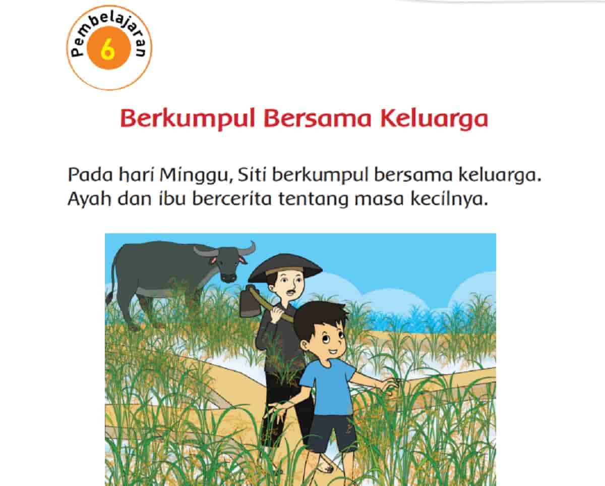 Jawaban Tema 3 Kelas 2 Halaman 37 38 39 41 Pembelajaran 6 Subtema 1 Tugasku Sehari-