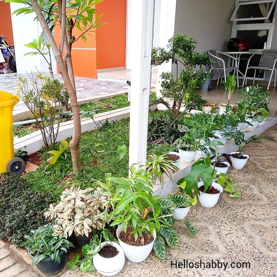 6 Desain Taman Rumah Minimalis Dengan Ukuran 1 x 2 M yang Bisa Anda