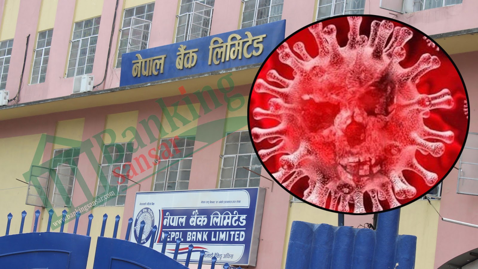 नेपाल बैंक लिमिटेडका कर्मचारीलाई कोरोना संक्रमण, शाखा कार्यलय बन्द