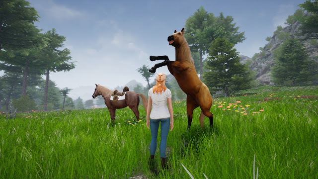 Horse Riding Deluxe 2