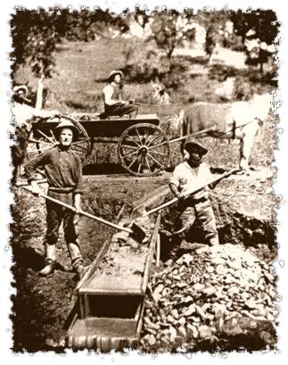 california gold rush pictures for kids. house gold rush california