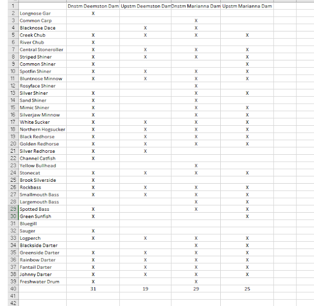 Life in Marianna, Pa Marianna Dam