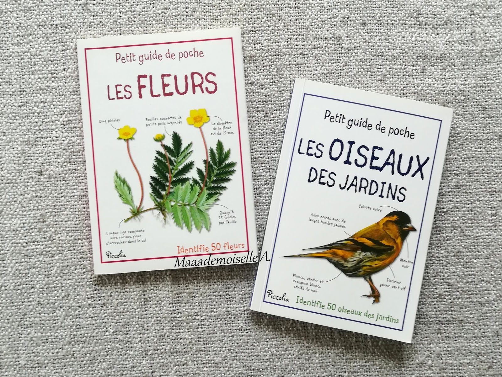 Livre Bien Tailler Une Pipe Guide Complet Maaademoiselle A.: || Petit guide de poche Les fleurs et Les oiseaux