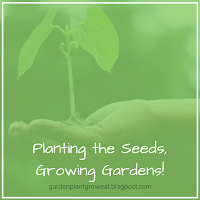 Planting the Seeds, Growing Gardens!