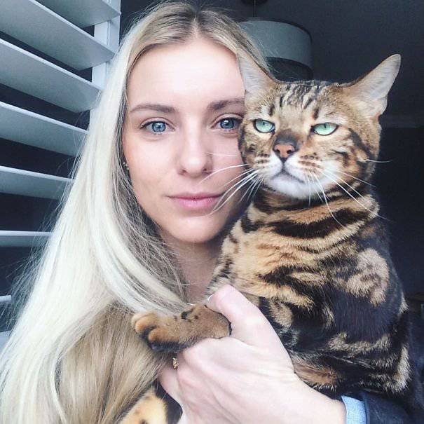 Cats Don’t Really like to Take Selfies