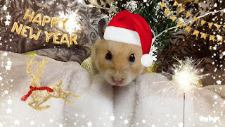 Gorgeous card for the New year mouse and rat 2024. Free, beautiful live Christmas cards in the year of mouse
