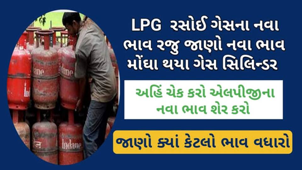 LPG Gas Cylinder Price In India Gujarati News Report