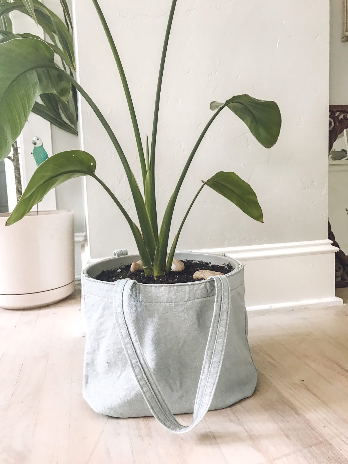 Simple Plant Hack: Cover a Plastic Pot Using a Tote Bag