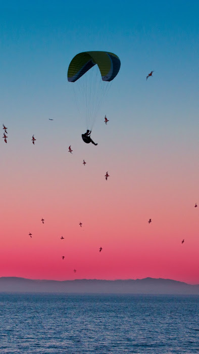 Sports Wallpaper