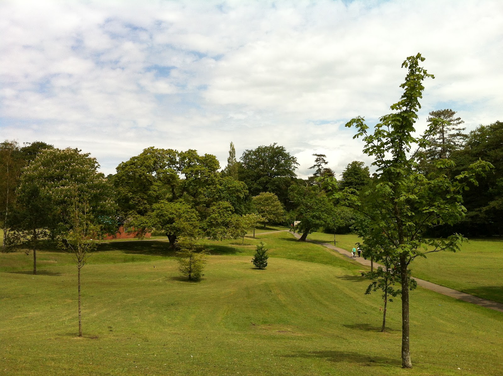 Summer in Swansea! I love Singleton Park!