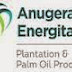 PT.ANUGERAH ENERGITAMA