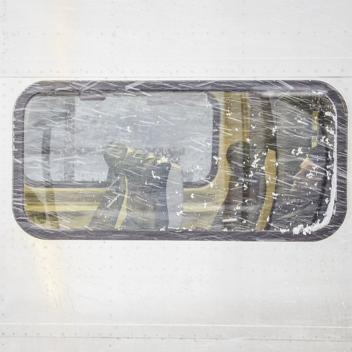 RSH – Myosotis – Single