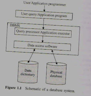 database management system 
