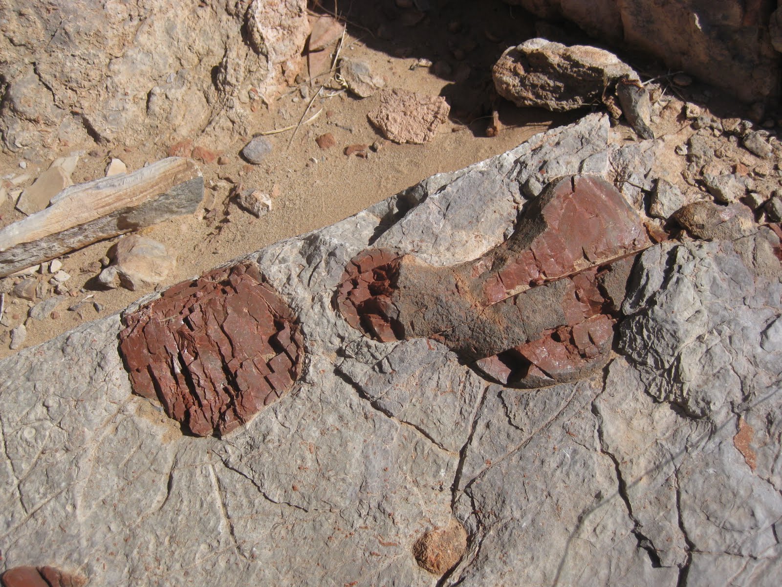 Geology Happens The only geologist on an archeology trip