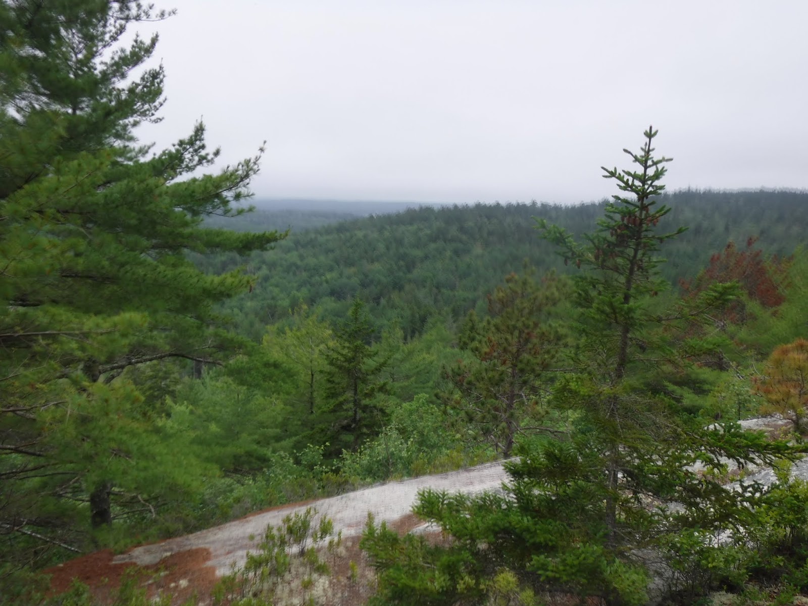 Baker Hill (Sullivan) and Schoodic Head (Acadia NP)