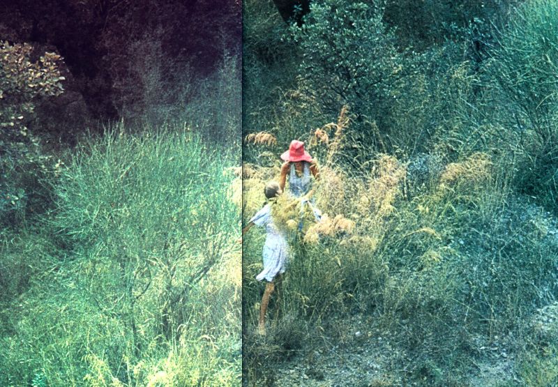 30 Dreamy Photographs Of Young Women Taken By David Hamilton From The 