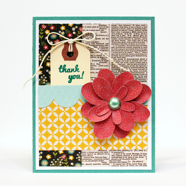 12 Fun Thank You Cards And A Goodbye Pebbles Inc 12-fun-thank-you-cards-and-a-goodbye-pebbles-inc