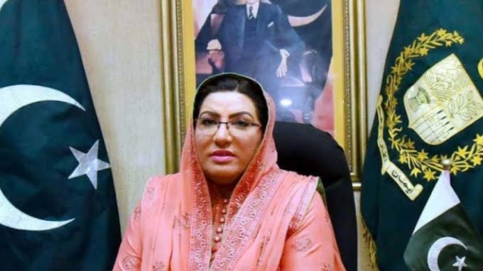 Dr Firdous ashiq awan removed from her post as charge of corruption 