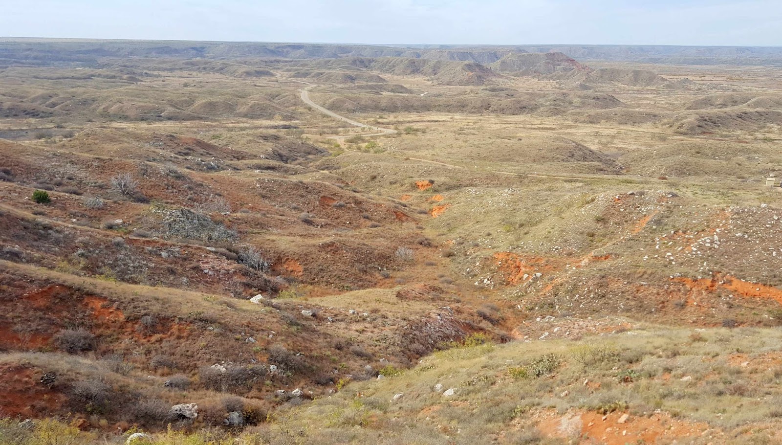 Wandering His Wonders Finding Flint and Family