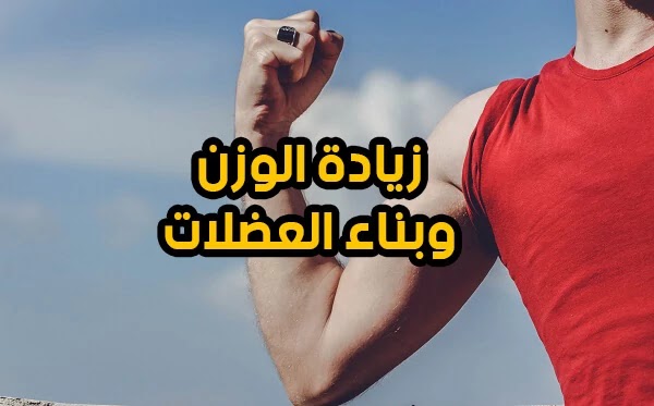 تعلم كيفية زيادة الوزن وبناء العضلات بسرعة طرق صحية لعلاج النحافة