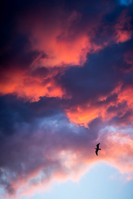 Expresar con nubes, foto de Carlos Larios